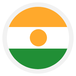 尼日尔 flat 图标