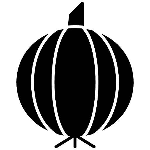 unbekannt gefüllt Icon