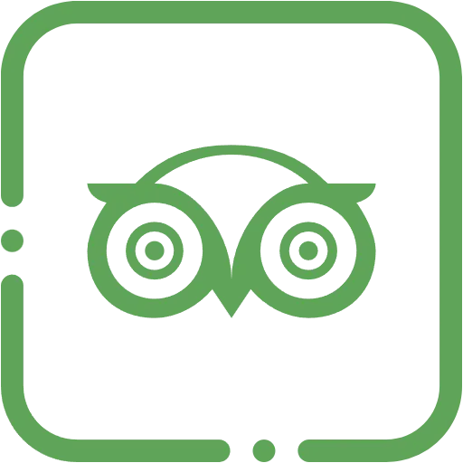 tripadvisor flat icon