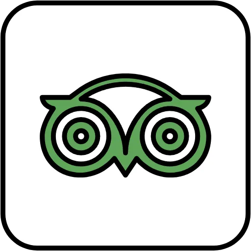 tripadvisor lineal color icon