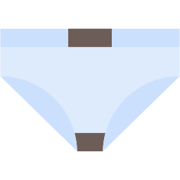 underwear flat icon