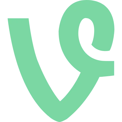 vine flat icon
