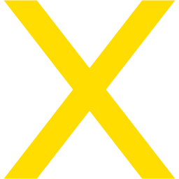 X flat icon