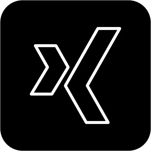 xing gefüllt Icon