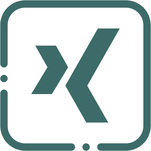 xing flat icon